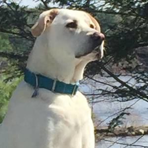 Meet your Posher, Christine